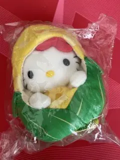 d*3様 未使用　2005年　タグ付き 北海道限定　ご当地キティちゃん ぬいぐる メルカリ