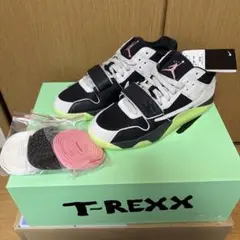 Item thumbnail for item 0c8c2dc9-3fa2-4f05-b873-4534f946bf63