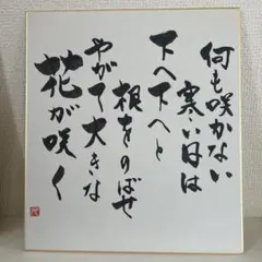 2026年最新】山上るい 枯れていく花の人気アイテム - メルカリ
