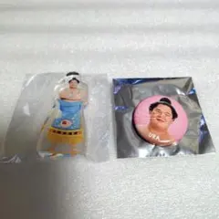 宇良　2点セット　アクリルスタンド　缶バッジ　大相撲　相撲ガチャ