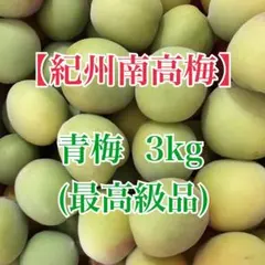 紀州南高梅　青梅　秀品（最高級品）　3L　3kg　送料込み