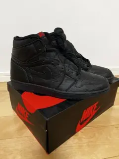NIKE AIR JORDAN 1 HIGH OG 30cm 室内試着のみ