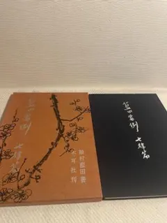 2026年最新】殿村 藍田 書の人気アイテム - メルカリ