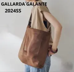 【GALLARDA GALANTE 】 2WAYシアーショルダーバッグ 美品のサムネイル