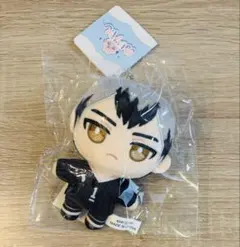 ハイキュー　ぬいパル　北信介　ぬいぐるみ　マスコット　稲荷崎