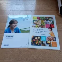【今なら2枚セット‼︎】【超希少品‼︎】 有村架純 A4 クリアファイル 2025年最新】有村架純 クリアファイル シーチキンの人気アイテム