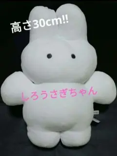 shirousagithan BIGぬいぐるみ しろうさぎちゃん