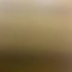 専用