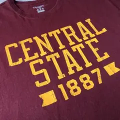 Championチャンピオン 3段プリント カレッジTシャツ2XLゆるだぼY2K