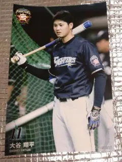 大谷翔平 2014 ハイライトフォト No.279 日本ハム 球団公式写真