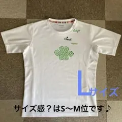 【太極拳　気功　ヨガ】半袖Ｔシャツ L→S〜Mのサイズ 感？(ホワイト)