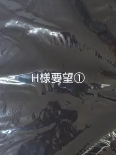 H様要望①
