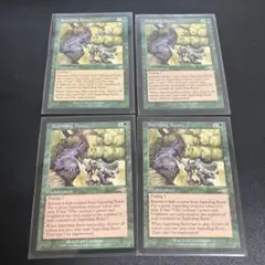 MTG Ocelot Pride x4 オセロットの群れ 英語 - メルカリ