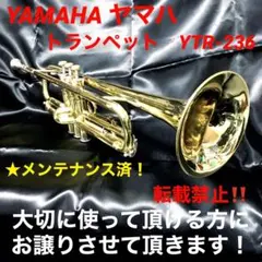 2026年最新】ytr-236の人気アイテム - メルカリ