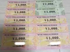 ビックカメラ　コジマ　株主優待券　10,000円分