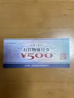 ヤマダ電機YAMADA HLDGS お買物優待券 ¥500