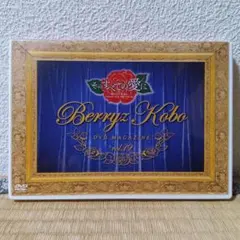 Berryz Kobo DVD MAGAZINE vol.19