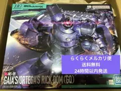 【新品・未使用】HG 1/144 リック・ドム ガイア機/ オルテガ機(GQ)