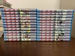 ジョジョの奇妙な冒険　スティールボールラン 24 全巻