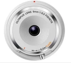 Item thumbnail for item 0b9deb51-3b6e-470e-b38e-306dca49c94a