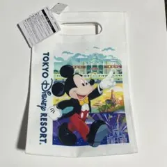 Item thumbnail for item e22a0f6c-9d11-469d-9aec-a26c21fa44c1