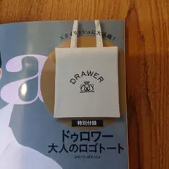 エクラ10月号Drawer × éclat 大人のロゴトートBAG 特別付録