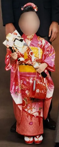 七五三 7歳 着物 正絹 長襦袢 刺繍 蝶 古典柄 和服 和装 衣装 七五三
