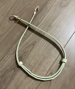 ベルトレディースベルト ファッション 小物 グリーン系 パステルカラー