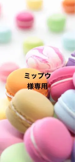 ＊ミップウ様専用＊5月20日＊