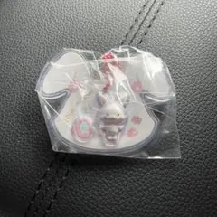 サンリオ パッケージチャーム＆チョコボーロ ウィッシュミーメル