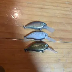 ラッキークラフト ロデオクラフト RCフラットクラピー　セット