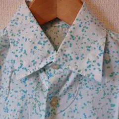 Item thumbnail for item 1aa02f46-c1e7-439c-8897-9c421b210ab4