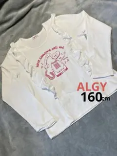 ALGY ロンT 長袖　カットソー　フリル　アルジー　トップス