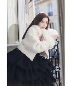 EIMY ISTOIRE スリーブコンビファージャケット