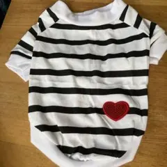 Item thumbnail for item 5db61163-b4f6-4611-b9e1-1e1d3f6e5194