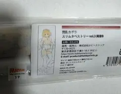 シノビマスター 閃乱カグラ　スリムタペストリー 両奈　新品未開封