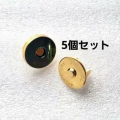 マグネットホック 16mm ５個セットTOWANNY
