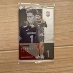 【西田勇志】 男子バレーボール 日本代表 ツインウエハース2026