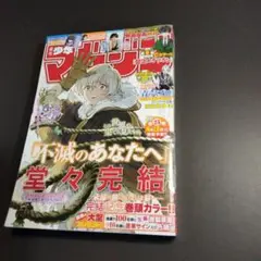 週刊少年マガジン 2025年 No 27