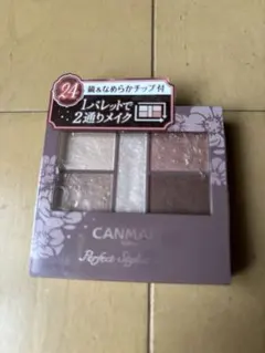 キャンメイク　パーフェクトスタイリストアイズv 24