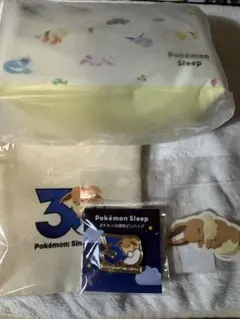 ポケモンスリープ イーブイ ポーチ ミラー アクキー バッジ 巾着