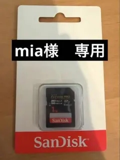 値下げ SanDisk Extreme PRO 1TB microSDXC 2枚 - メルカリ