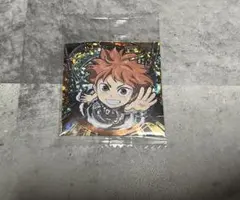 ハイキュー ウエハースシール 日向翔陽 排球レア極