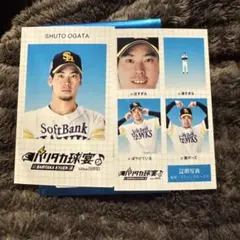 尾形崇斗 スマロイド 福岡ソフトバンクホークス