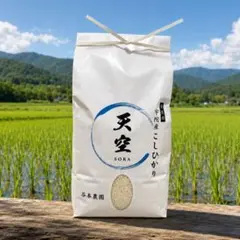 五島産 令和8年新米 夏ほのか ☆塩のおまけ付き！ - メルカリ