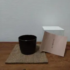 Item thumbnail for item 23e2fa4c-c965-42f5-8bca-01fad075fafa