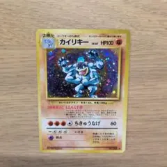 2026年最新】大玉ホロの人気アイテム - メルカリ