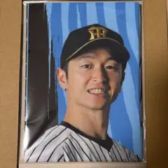 大谷翔平選手 】 当日限定現地販売 公式写真 ( 2013年8月29日 ) - メルカリ
