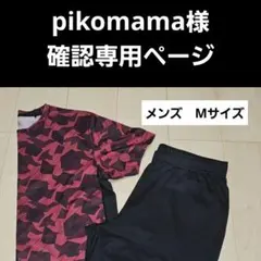 確認専用ページ