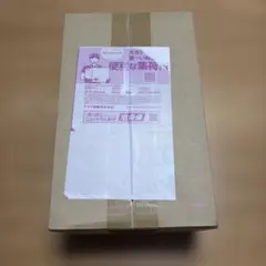 【新品・完全未開封】ポケモンセンター ヒロシマ スペシャルボックス　シュリンク付